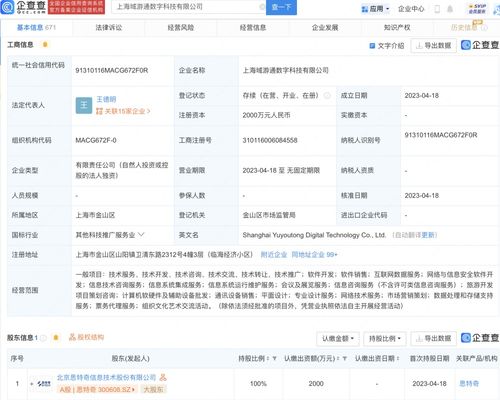 網(wǎng)絡(luò)與信息安全軟件開(kāi)發(fā) 構(gòu)筑數(shù)字世界的堅(jiān)實(shí)防線